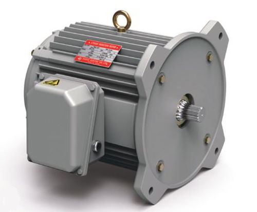 Motore ad induzione - Shidae Electric Co.,Ltd. - trifase / con rotore bobinato / 4 poli