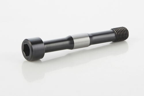 Bullone a testa cava - 0026 - Blaj Fasteners