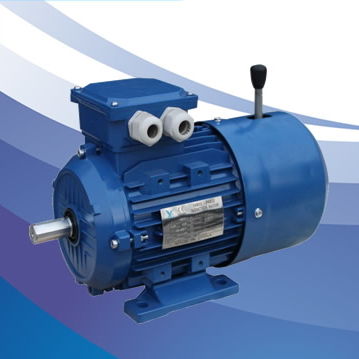 Motore asincrono - MSEJ/MSEJA series - FUJIAN YONGDASHENG ELECTRICAL MACHINERY CO., LTD - trifase / 400 V / 380 V
