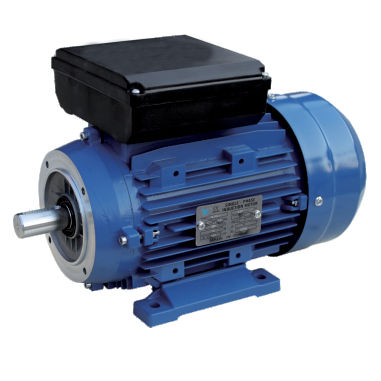 Motore ad induzione - ML series - FUJIAN YONGDASHENG ELECTRICAL MACHINERY CO., LTD - monofase / 220 V / con condensatore