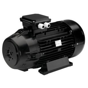 Motore con doppia flangia - iec 180 - Nicolini Motori - asincrono / AC / compatto