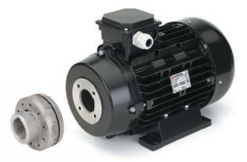 Motore asincrono - 132 series  - Nicolini Motori - AC / trifase / ad albero cavo