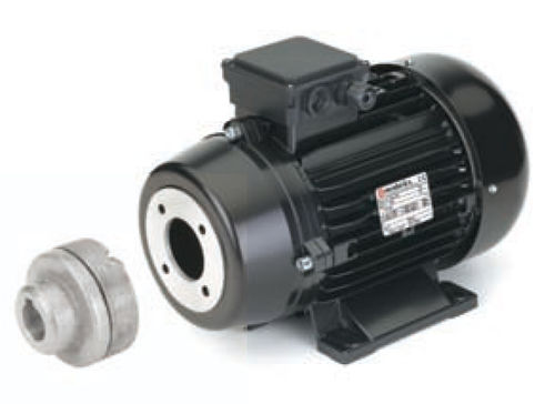 Motore asincrono - 112 series - Nicolini Motori - AC / trifase / ad albero cavo