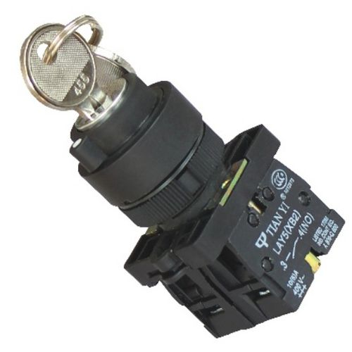 Commutatore a chiave - LAY5 series - Shanghai Tianyi Electric Co., Ltd. - montato su pannello