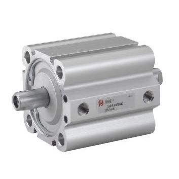Cilindro a corsa breve - BJ32100 - AIGNEP - pneumatico / a pistone magnetico / con asta attraversante