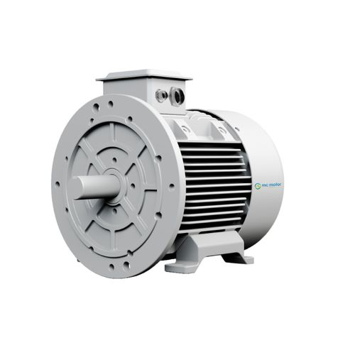 Motore brushless - SRPM210L8F22 - MC MOTOR TECHNOLOGY CO., LTD - AC / 400 V / IP55