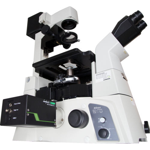 Microscopio di misura - LIFA-TD  - Lambert Instruments - FLIM / a fluorescenza / a videocamera digitale