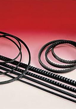 Cinghia a sezioni dentate - max. 3 000 mm | TORQUE-FLEX - SIT S.p.A. - in gomma