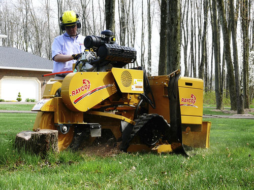 Fresaceppi semovente - 35 hp (26 kW) | RG1635 Trac Jr - RAYCO