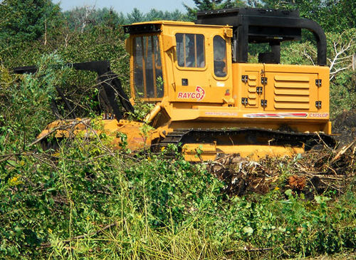 Decespugliatrice forestale - 185 - 260 hp (138 - 194 kW) | C185, C260 - RAYCO