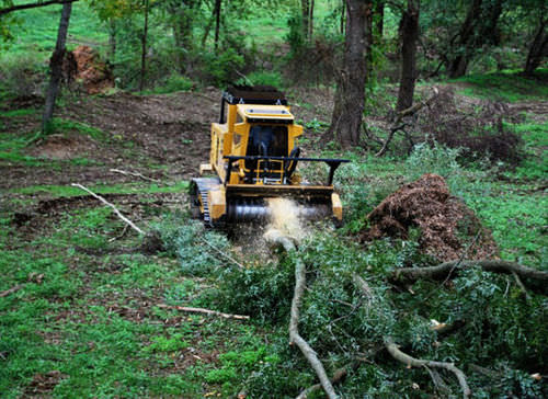 Decespugliatrice forestale - 360hp (269kW) | T360 - RAYCO