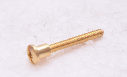 Vite a testa cilindrica bombata - Paani Precision Products LLP - a testa cava / intagliato / in ottone