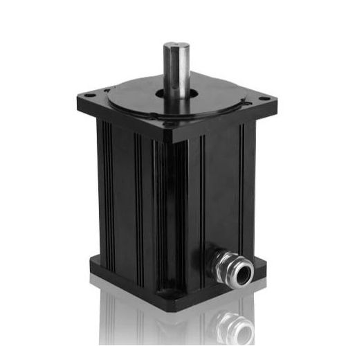 Motore BLCD - M154-50 - Electric Motor Power Pty Ltd - DC / 24 V / 48 V