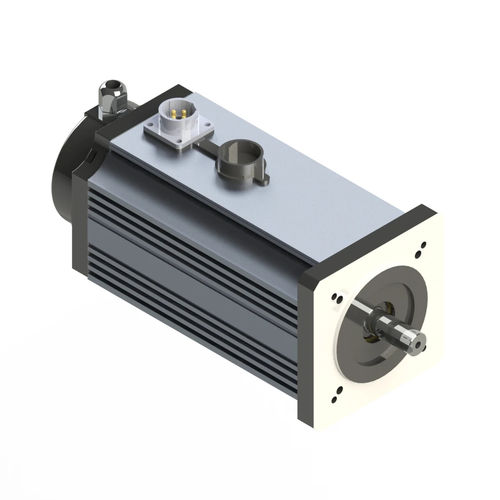 Motore BLCD - M090-M - Electric Motor Power Pty Ltd - DC / a magneti permanenti / TENV