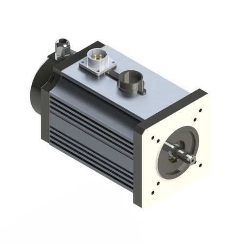 Motore BLCD - M090-S - Electric Motor Power Pty Ltd - a corrente continua / a magneti permanenti / TENV