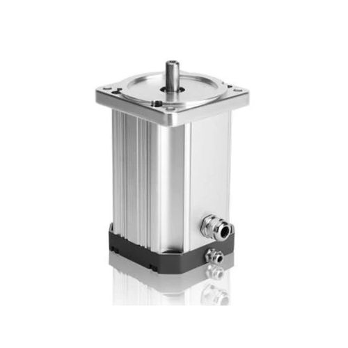 Motore BLCD - M099-100 - Electric Motor Power Pty Ltd - DC / 48 V / IP54