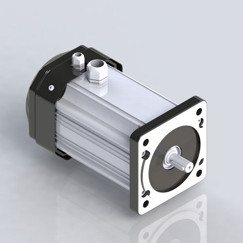 Motore BLCD - M099-75 - Electric Motor Power Pty Ltd - DC / 24 V / a magneti permanenti