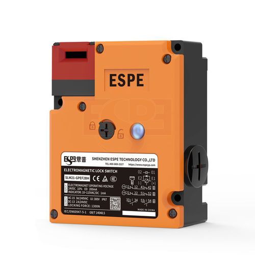 Interruttore a chiave - SLM21 series - Shenzhen ESPE technology Co., LTD - multipolare / IP67 / installato su pannelli