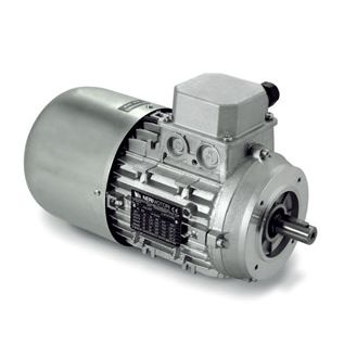 Motore ad induzione - AT series - Neri Motori - trifase / 400 V / 380 V