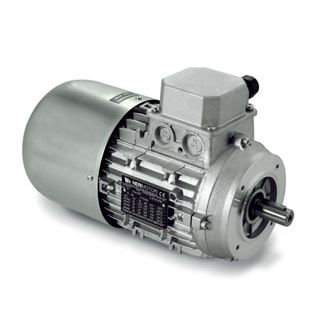 Motore ad induzione - AHE3 series - Neri Motori - trifase / 400 V / 230 V