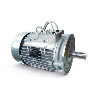 Motore per miscelatore - Neri Motori - asincrono / trifase / 400 V