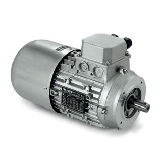 Motore autofrenante - AD series - Neri Motori - ad induzione / trifase / 400 V