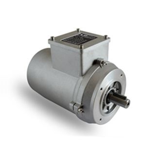 Motore ad induzione - T series  - Neri Motori - trifase / 400 V / resistente alla corrosione