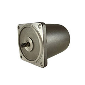 Motore ad induzione - 80 series - Zhejiang Dongzheng Motor Co., Ltd. - AC / 220 V / 110 V