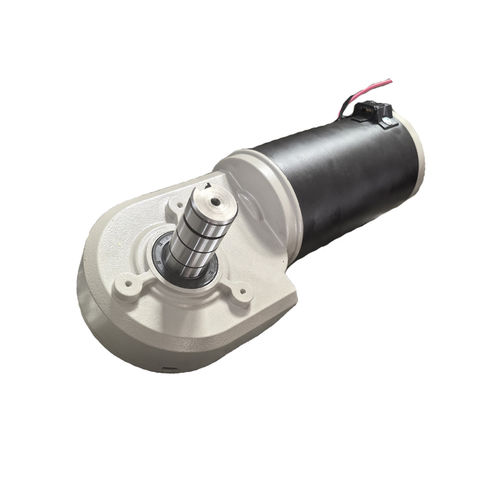 Moto-riduttore DC - Stairlift Motor 001 - Zhejiang Dongzheng Motor Co., Ltd. - a vite senza fine / ad assi ortogonali / ad albero pieno