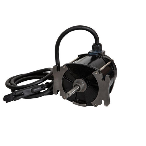 Motore DC - 9031202 - Zhejiang Dongzheng Motor Co., Ltd. - 12 V / IP67 / a magneti permanenti