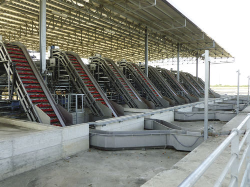 Trasportatore elevabile - Agromeccanica srl