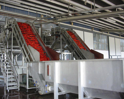 Trasportatore a tapparelle - Agromeccanica srl - inclinato / elevabile / per frutta