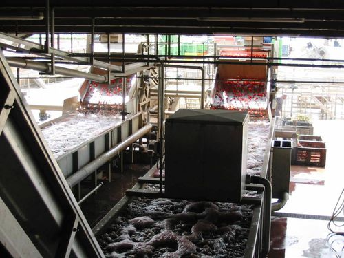 Serbatoio per frutta - Agromeccanica srl - per verdura / aperto / per applicazioni alimentari