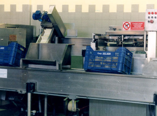 Macchina pelatrice per agrumi - Agromeccanica srl