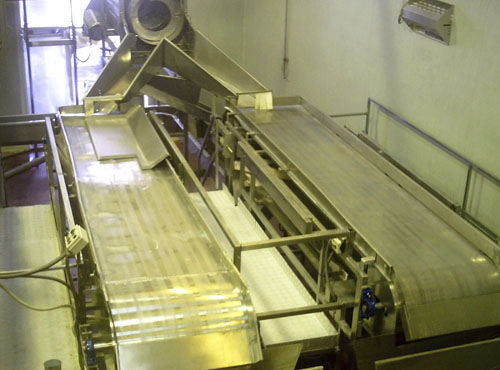 Nastro di cernita - Agromeccanica srl