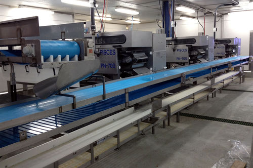 Decapitatrice-evisceratrice per naselli - PN-700 - Pisces Fish Machinery Inc.