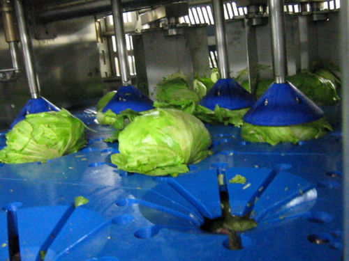 Detorsolatrice per insalata - DSI-4P  - TECNOCEAM
