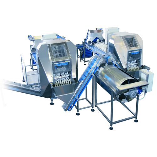 Detorsolatrice per peperoni - DSP-4P - TECNOCEAM