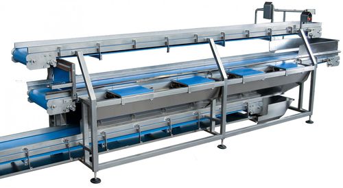 Trasportatore a nastro - NM3  - TECNOCEAM - da trasporto / per verdure / per l'industria agroalimentare