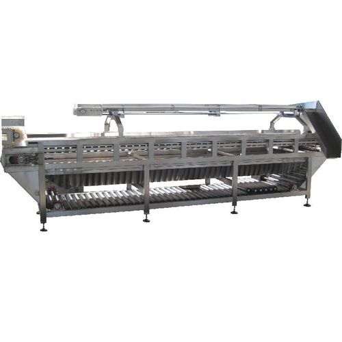 Calibratrice per frutta e verdura - 156 - TECNOCEAM - a rulli / con trasportatore