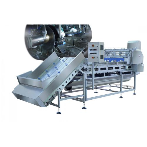 Spuntatrice per cipolle - 1210 - TECNOCEAM