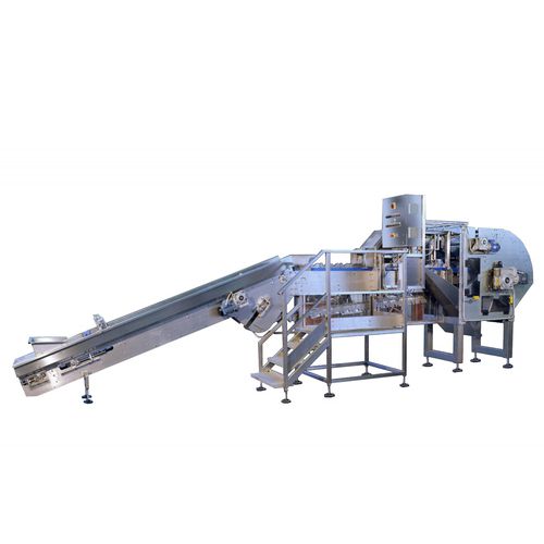 Macchina pelatrice per cipolle - SPC - TECNOCEAM - completamente automatica / da taglio