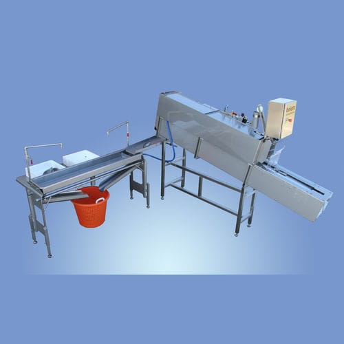Lavabo di controllo dei pesci - Boleto - per l'industria agroalimentare / in acciaio inossidabile