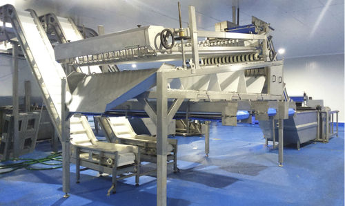 Macchina di smistamento per l'industria agroalimentare - Gaictech - automatica / per alimenti / continua
