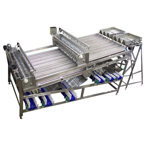 Calibratrice per pesce - KM Fish - a nastro / a rulli / a vibrazione