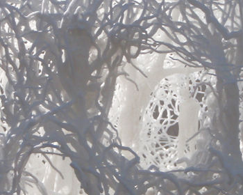 Stampa 3D in poliammide - SLS ® HD - INITIAL - SLS / per prototipazione