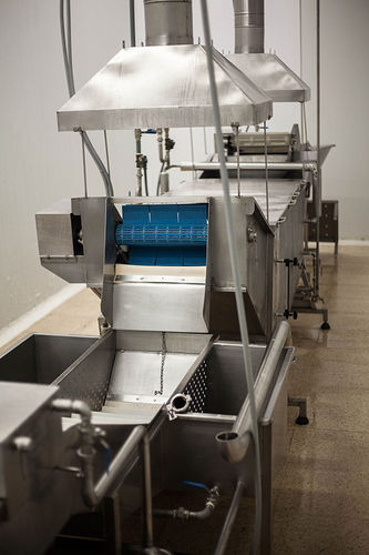 Cuocitore industriale continuo - Balzo - per pesce / per gamberetti / con refrigeratore