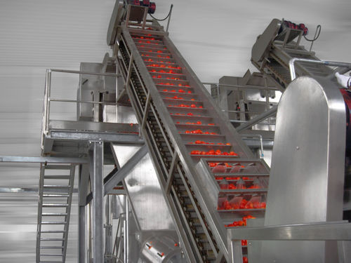 Linea di trasformazione per pomodori - Alimenta Industries S.r.l. - lucidatrice / per cernita / di lavaggio