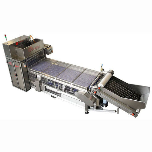 Detorsolatrice per mele - MULTI FRUIT - CTI FoodTech s.r.l. - per pesche / per nettarine / per pere