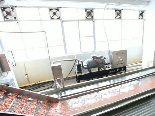 Raffreddatore d'acqua - ZD-XL 6000 - Shrimp Machine - per gamberetti / in acciaio inossidabile / con trasportatore a nastro